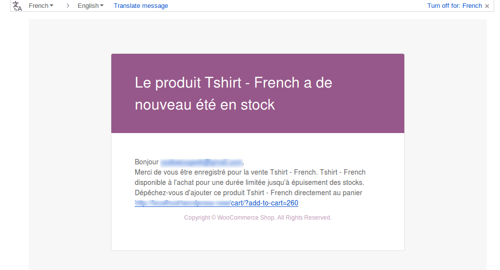 WPML - Back In Stock Notifier for WooCommerce screenshot 3