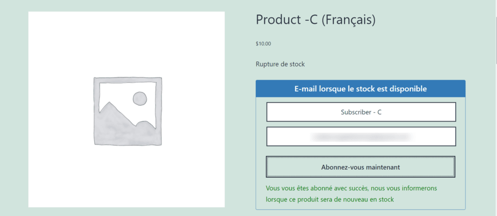 Polylang - Back In Stock Notifier for WooCommerce screenshot 3